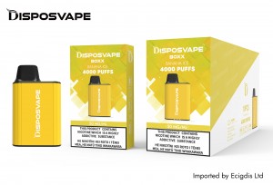 Disposvape Box