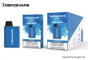 Disposvape Box