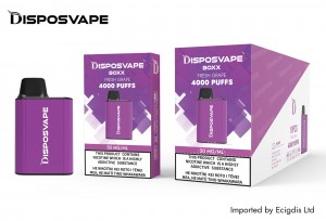 Disposvape Box