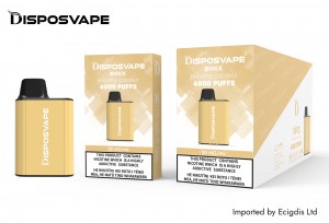 Disposvape Box