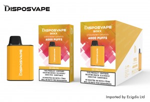 Disposvape Box