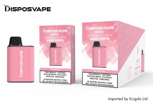 Disposvape Box