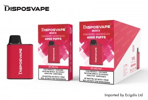 Disposvape Box