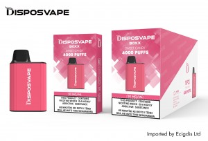 Disposvape Box