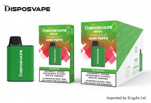 Disposvape Box